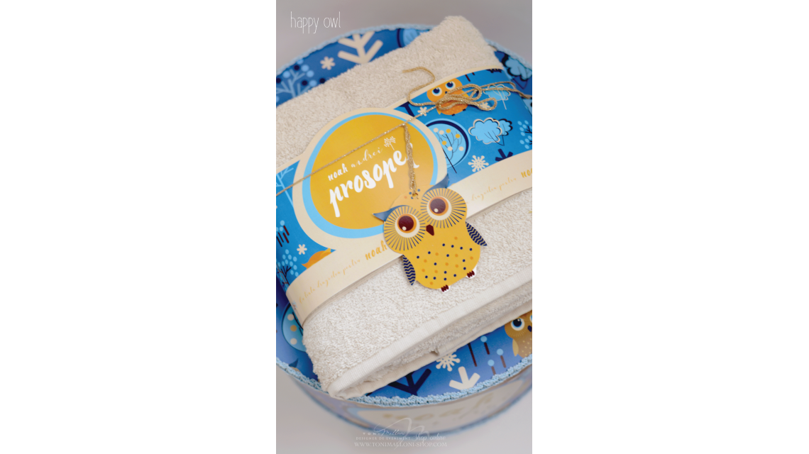 Trusou de botez cu broderie personalizata pentru baieti, Owl Baby Boy 5